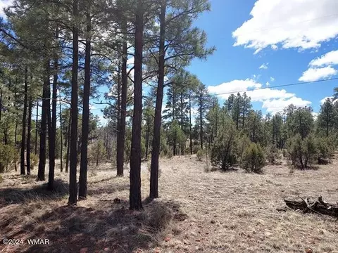 tbd Gilbert Ln, Overgaard, AZ 85933 photo 8