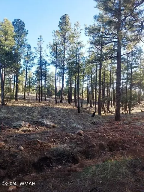 tbd Gilbert Ln, Overgaard, AZ 85933
