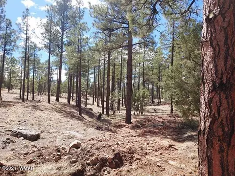 tbd Gilbert Ln, Overgaard, AZ 85933 photo 7