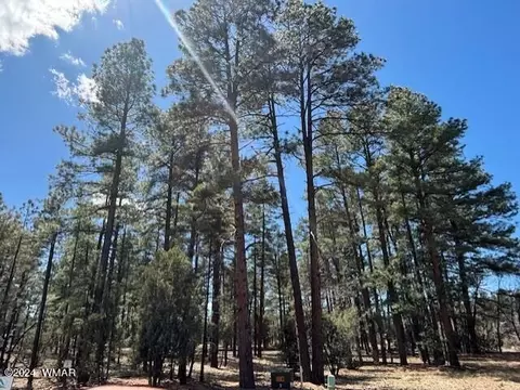 2520 S Pinegrass Rd, Show Low, AZ 85901