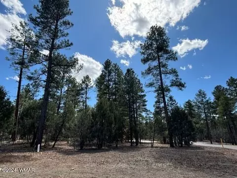 2480 Narrow Leaf Ln, Show Low, AZ 85901