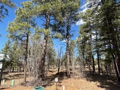 2401 Narrow Leaf Ln, Show Low, AZ 85901