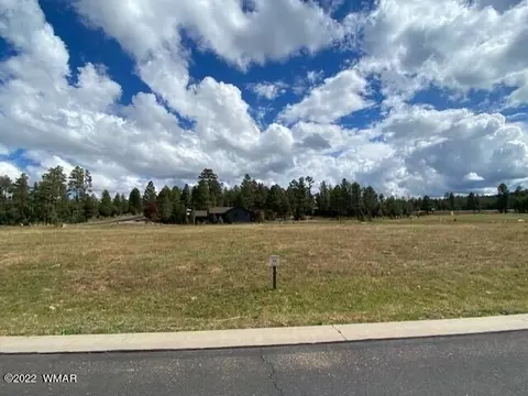 1581 S Torreon Lakes Dr, Show Low, AZ 85901