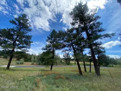 1420 S Lakeside Trl, Show Low, AZ 85901