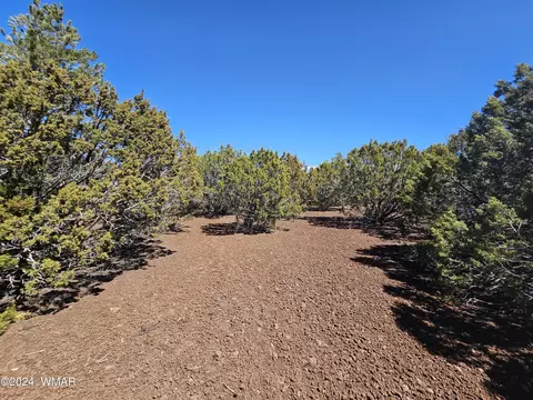 45 Cr 3131, Vernon, AZ 85940