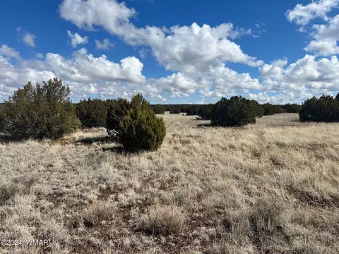 8518 Airport Dr, Show Low, AZ 85901