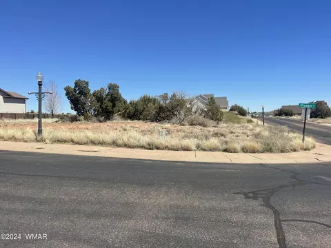 625 S Pioneer Trl, Snowflake, AZ 85937