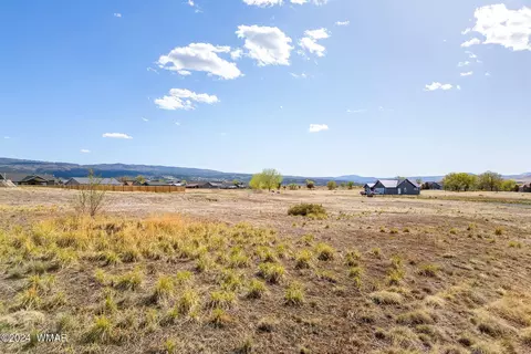00 Lot 115 3rd Pl, Eagar, AZ 85925 photo 5