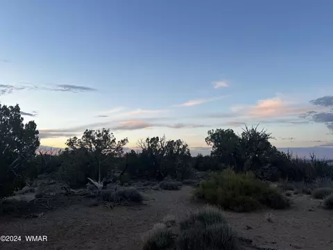 3864 Dusty Rd, Snowflake, AZ 85937 photo 10