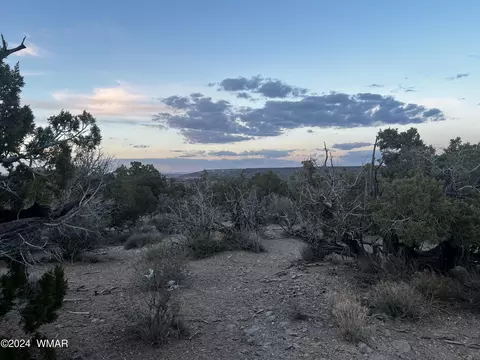 3864 Dusty Rd, Snowflake, AZ 85937 photo 7