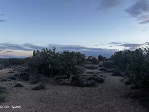 3864 Dusty Rd, Snowflake, AZ 85937 photo 6