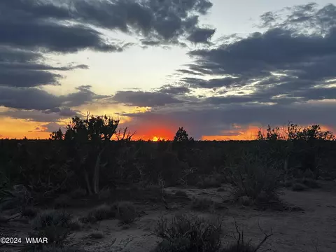 3864 Dusty Rd, Snowflake, AZ 85937 photo 19