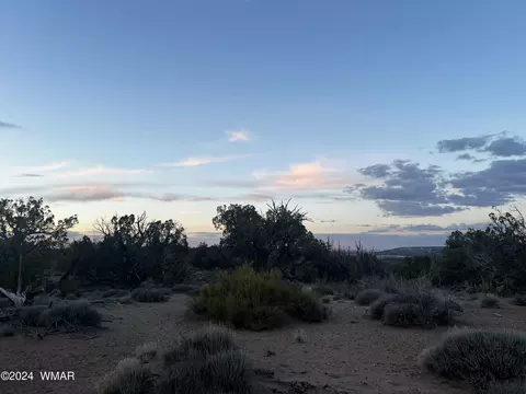 3864 Dusty Rd, Snowflake, AZ 85937 photo 9