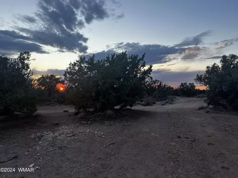 3864 Dusty Rd, Snowflake, AZ 85937 photo 3