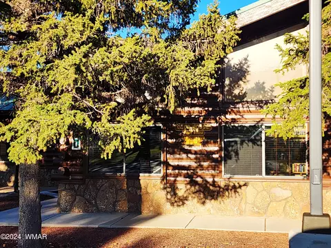 8246 Bogie Loop, Show Low, AZ 85901 photo 37
