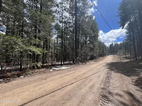 View/Area - 5 Co Rd 2210, Alpine, AZ 85920 photo 12 of 13