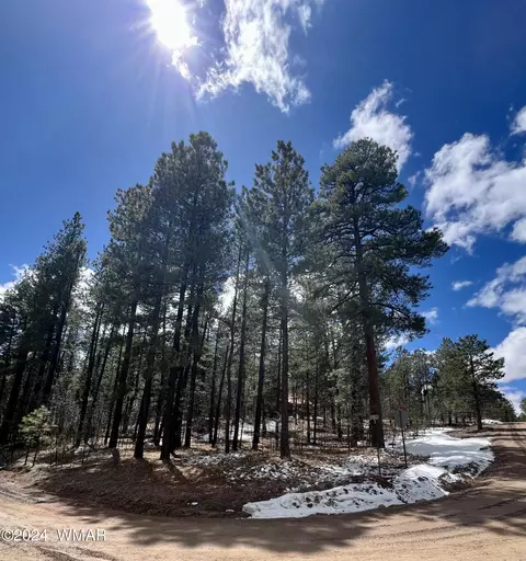 View/Area - 5 Co Rd 2210, Alpine, AZ 85920 photo 3 of 13