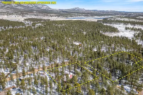 View/Area - 5 Co Rd 2210, Alpine, AZ 85920 photo 11 of 13