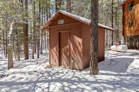 Other - 5 Co Rd 2210, Alpine, AZ 85920 photo 3 of 4