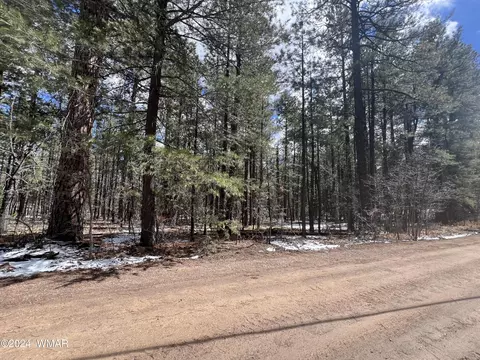 14 Co Rd 2134, Alpine, AZ 85920 photo 4