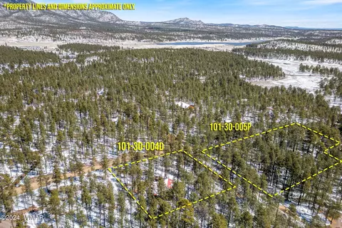 14 Co Rd 2134, Alpine, AZ 85920 photo 18