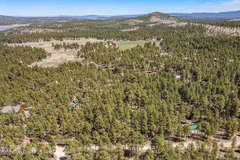 14 Co Rd 2134, Alpine, AZ 85920 photo 10