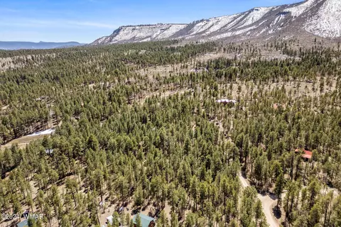 14 Co Rd 2134, Alpine, AZ 85920 photo 12