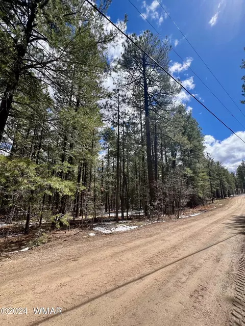 14 Co Rd 2134, Alpine, AZ 85920 photo 19