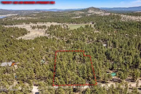 14 Co Rd 2134, Alpine, AZ 85920