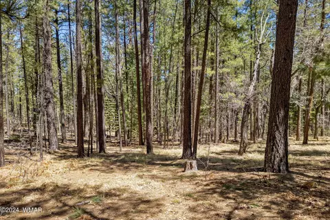 14 Co Rd 2134, Alpine, AZ 85920 photo 13