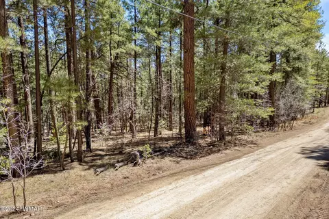14 Co Rd 2134, Alpine, AZ 85920 photo 15