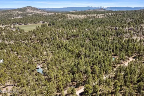 14 Co Rd 2134, Alpine, AZ 85920 photo 11