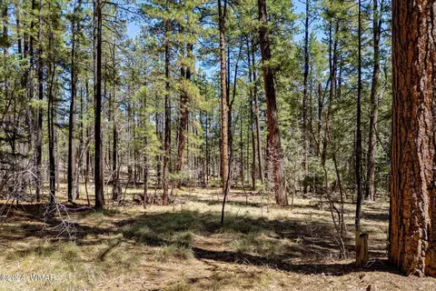 14 Co Rd 2134, Alpine, AZ 85920 photo 16