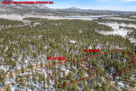 14 Co Rd 2134, Alpine, AZ 85920 photo 20