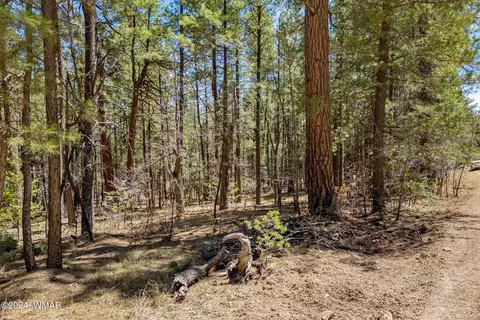 14 Co Rd 2134, Alpine, AZ 85920 photo 3