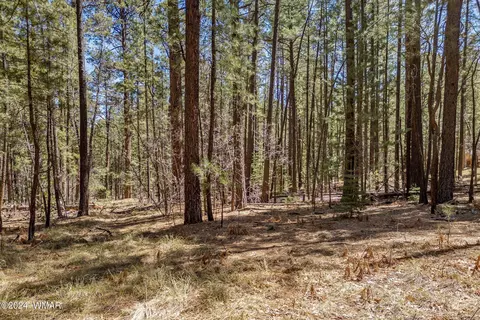14 Co Rd 2134, Alpine, AZ 85920 photo 14