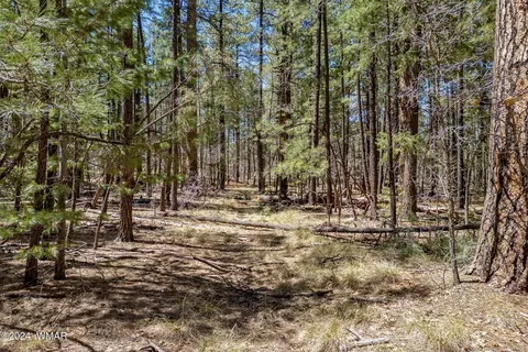 14 Co Rd 2134, Alpine, AZ 85920 photo 17