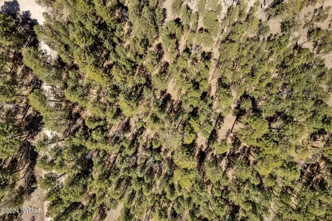 14 Co Rd 2134, Alpine, AZ 85920 photo 5