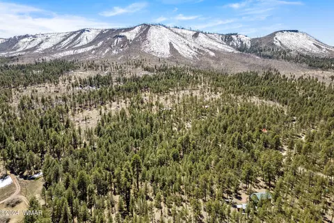 14 Co Rd 2134, Alpine, AZ 85920 photo 6