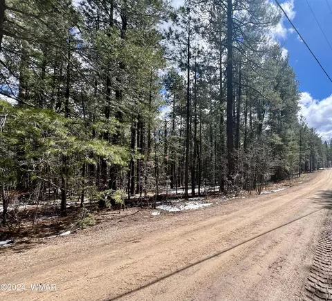 14 Co Rd 2134, Alpine, AZ 85920 photo 2
