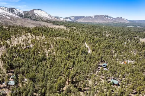 14 Co Rd 2134, Alpine, AZ 85920 photo 7