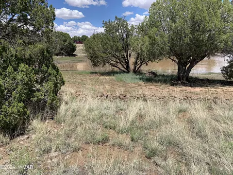 2029 Silver Creek Dr, Show Low, AZ 85901