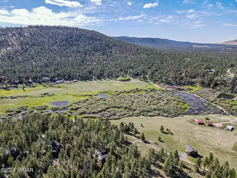 View/Area - 4 County Rd, Greer, AZ 85927 photo 5 of 6