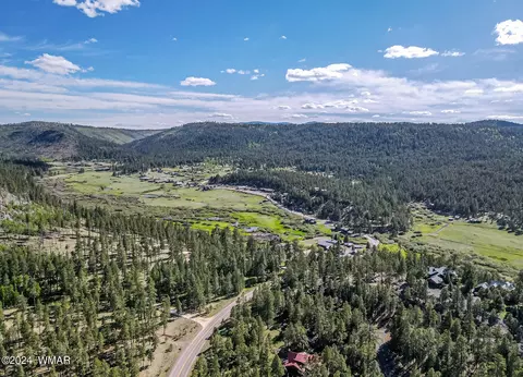 View/Area - 4 County Rd, Greer, AZ 85927 photo 6 of 6