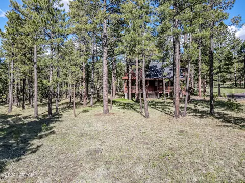 View/Area - 4 County Rd, Greer, AZ 85927 photo 4 of 6