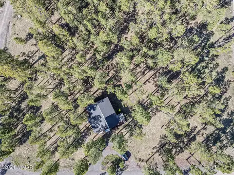 View/Area - 4 County Rd, Greer, AZ 85927 photo 2 of 6
