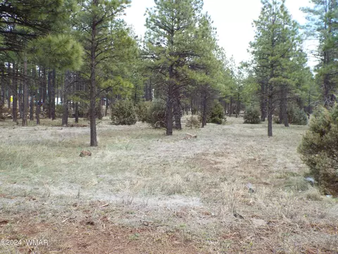 231 Deer Run Rd, Lakeside, AZ 85929