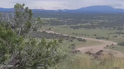 N6425 Lot 77 River Springs Ranch, Saint Johns, AZ 85936