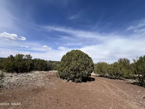 1788 Queen Creek Pl, Show Low, AZ 85901