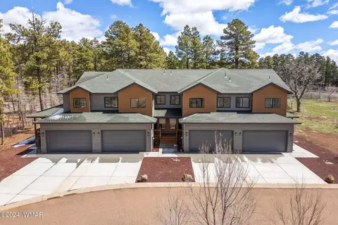 Exterior - 469 N Megans Loop, Lakeside, AZ 85929 photo 10 of 12